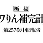 アワりん補完計画257日目【パズドラ】