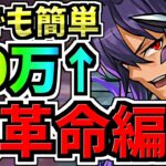 【大革命】ランダン！誰でも完走で王冠余裕！29万点↑最低でも27万点↑全部ルートパズル！ティフォン杯【パズドラ】