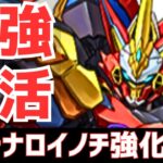 【パズドラ】2way強化で世界激変！元最強が復活か!?ウルトナ&ロイノチ強化と新降臨キャラ解説！