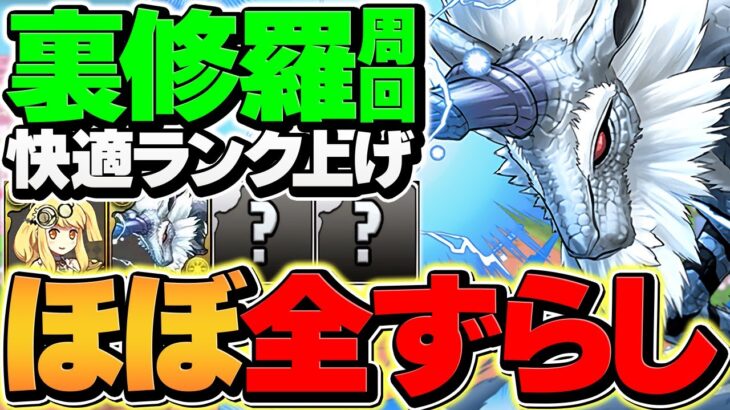 サレサレで裏修羅ずらし周回！経験値3.61倍&ダンボ6！1周8分で5.9億経験値ゲット！！【パズドラ】