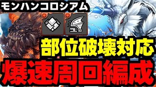 【モンハンコロシアム】部位破壊対応！3分台！バゼルワンパン！キリン爆速周回編成代用＆立ち回り解説！【パズドラ】