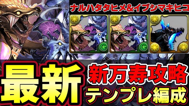 【パズドラ】ナルハタタヒメ&イブシマキヒコで新万寿攻略‼︎単体400億火力でかなり強い‼︎最新テンプレ編成【パズドラ実況】