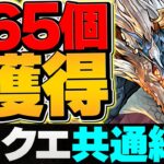 魔法石65個を15分でゲットできる！9月クエストLV1-LV10を共通編成で攻略！シヴァドラ編成【パズドラ】