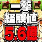 【7~8分台】ほぼパズル無しで5.6億稼げる時代がヤバすぎる【パズドラ】