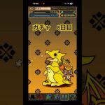 ［パズドラ］モンハンコラボ　無料ガチャ8日目　#チャンネル登録コメントよろしくね #パズドラ #おすすめ