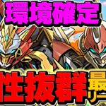 最強フェス限誕生！青天井×80%回復ループ！スティード×ウルトナ=1000億火力！新万寿攻略！【パズドラ】