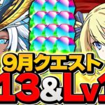 【誰でも勝てる】9月クエストLV13,LV14 アシスト不要編成で攻略！代用解説も！魔法石25個ゲット！アンジェリーナ&ラー編成【パズドラ】