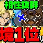 【環境最強】ジノ×ラフィーネコ=多色無双！ルレ×指ループで安定！編成難易度低め！9月クエストLV15 アシストなし攻略！【パズドラ】