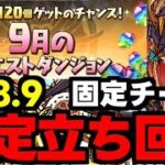 【9月のクエスト】Lv8.9固定チーム！ド安定立ち回り解説！【パズドラ】