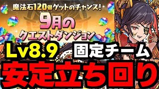 【9月のクエスト】Lv8.9固定チーム！ド安定立ち回り解説！【パズドラ】