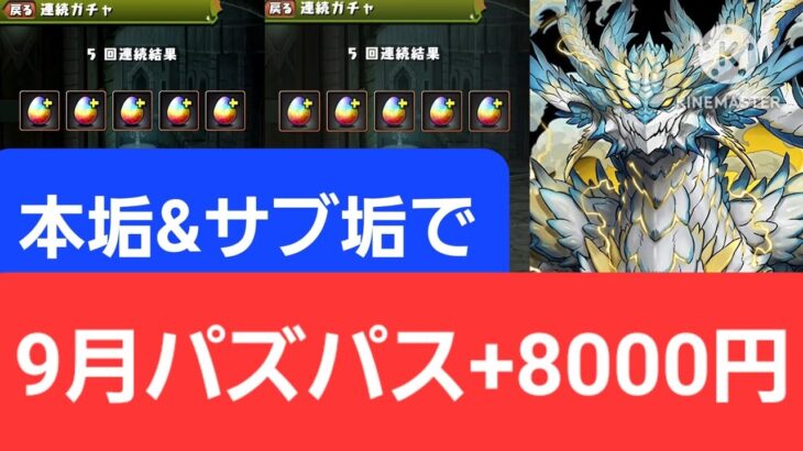 【パズドラ】本垢&サブ垢でパズパスGF+8000円ガチャ引く！