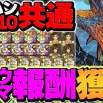 モンハンLV1-LV10を共通編成で攻略！激ウマ報酬&魔法石20個をゲットしよう！初級編&上級編【パズドラ】