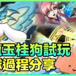 PAD パズドラ 白龍玉桂狗 試玩！組隊過程分享！血多自然穩？！白霹龍專屬玩具