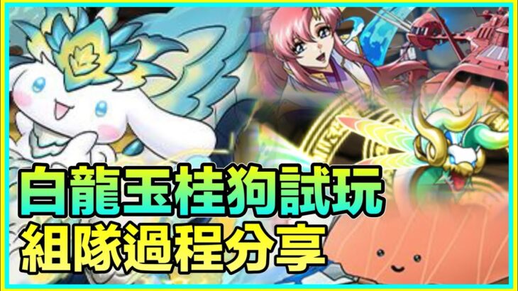 PAD パズドラ 白龍玉桂狗 試玩！組隊過程分享！血多自然穩？！白霹龍專屬玩具