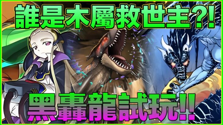 PAD パズドラ MH新寵試玩！黑轟龍！黑轟龍x V2 vs新萬壽 ！誰人是木屬救世主？一個轉轉苦手的自白。