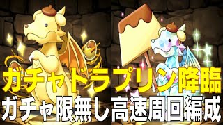 【ダイヤ対応】ガチャドラプリン降臨　ガチャ限無しソロ高速周回編成(パズドラ/パズル&ドラゴンズ/PUZZLE&DRAGONS)