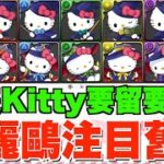 【SANRIO合作】注目有用舊角推介!! 一隻大魔女Kitty優先換、回窩快刷經驗值必用角、最舊5星角武裝超強化【パズドラPAD】