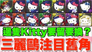 【SANRIO合作】注目有用舊角推介!! 一隻大魔女Kitty優先換、回窩快刷經驗值必用角、最舊5星角武裝超強化【パズドラPAD】