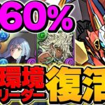 毎THP60%回復で負けない！ウルフデイトナで新万寿攻略！環境リーダー完全復活！！【パズドラ】