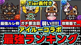 【最強ランキング】Tier表付き！低レアキャラにも要注目！ぽかぽかアイルー村コラボ最強キャラランキング！使い道＆性能完全解説！【パズドラ】