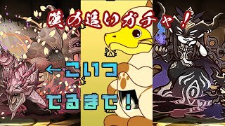 【パズドラ】リオレイア亜種一点狙い追いガチャ【モンスターハンターコラボ】