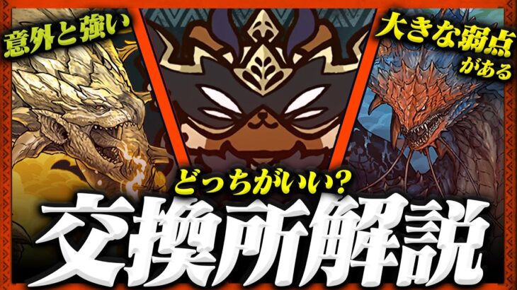 【交換所完全解説】ネロミェール最大の弱点発見！？交換どっちがいい？【常闇評価 モンハン パズドラ】