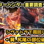 【パズドラ】モンスターハンター重要調査クエストをシヴァドラで周回！両部位破壊対応！【モンハンコロシアム】