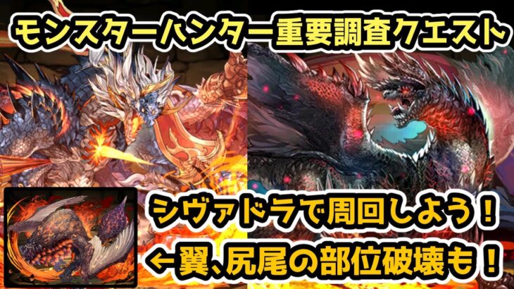 【パズドラ】モンスターハンター重要調査クエストをシヴァドラで周回！両部位破壊対応！【モンハンコロシアム】