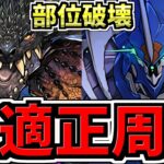 【最適正】部位破壊ずらし！ディープシーカー降臨周回！ネルギガンテ編成！代用・立ち回り解説！部位破壊で最強無課金キャラをゲットしよう【パズドラ】