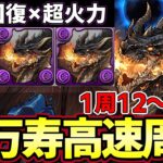 【パズドラ】超高速新万寿周回編成‼︎ミラボレアスがこんなに強いなんて‼︎メルゼナ持ってるなら絶対作って欲しい‼︎【パズドラ実況】