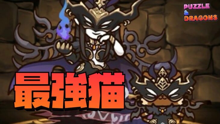 【パズドラ】おまけガチャからでるラフィーネコの性能が強すぎた