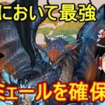 周回最強キャラネロミェールを確保せよ！【パズドラ】