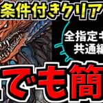 【誰でも簡単】魔法石と最強キャラ全報酬ゲット！条件付きクリア！全指定キャラ共通！サンリオキャラクターズランド(サンリオコロシアム)周回！ネロミェール編成！代用・立ち回り解説！サンリオコラボ【パズドラ】