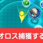 【パズドラ】パスバトでベリオロスを捕獲しに行く引きこもり無職【モンハンコラボ】