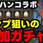 【ガチャ動画】モンハンコラボコンプ狙いで追加ガチャ！！！【パズドラ】