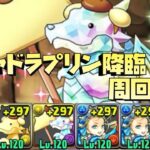 【パズドラ】ガチャドラプリン降臨をバレンタインノアで周回する編成を作ってみた