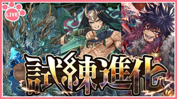 【パズドラ】新しい試練進化する！【雑談】