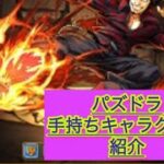 パズドラ『手持ちキャラクター紹介』火属性