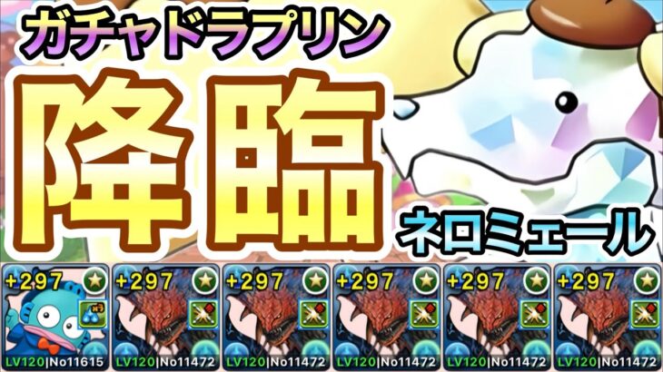 【パズドラ】ガチャドラプリン降臨！壊滅級！ハンギョドン×ネロミェール！ずらし周回！