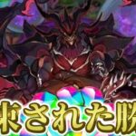 【新フェス限とアークヴェルザを狙う】限界までガチャを引く【パズドラ】