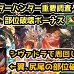 【パズドラ】モンスターハンター重要調査クエストをシヴァドラで周回！部位破壊ボーナス×８個で両部位破壊対応！【モンハンコロシアム】