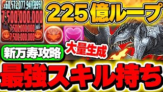 最強火力ループ！！銀レウス＆金レイアが火属性環境最強に！！火の大量生成に回復も生成できるのが偉すぎる！！【モンハンコラボ】【新万寿攻略】【パズドラ実況】