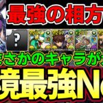 【パズドラ】環境最強リーダー⁉︎ナルハタタヒメ&イブシマキヒコと最強の相方で新万寿攻略‼︎最強テンプレ編成誕生【パズドラ実況】