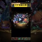 ハロウィンガチャログイン1回 引いた人間の反応【パズドラ】【ハロウィン】 #パズドラ #ゲーム実況