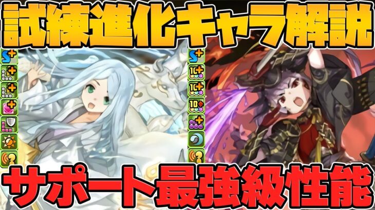 試練進化アマテラス&ツクヨミ実装！超絶サポート枠性能に強化！絶対に1体は作ろう！【パズドラ】