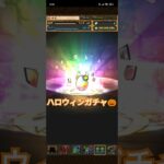 ハロウィンガチャ1回引いてみた（パズドラ）