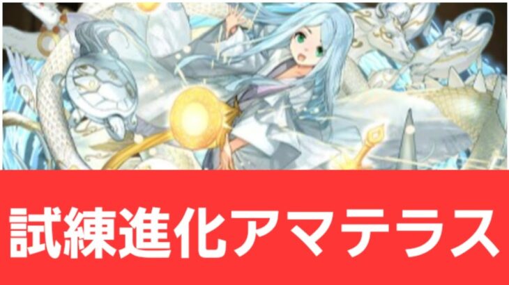 【パズドラ】試練進化アマテラスが強すぎてヤバい！！【ぶっ壊れ】【最強】【人権】【環境1位】【新百式】【新千手】【新万寿】【新凶兆】