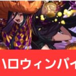 【パズドラ】強化されたハロウィンパイモンが強すぎてヤバい！！【ぶっ壊れ】【最強】【人権】【環境1位】【新百式】【新千手】【新万寿】【新凶兆】