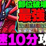 【最速】新凶兆チャレンジ×部位破壊で10分台周回！環境最強テンプレ編成！立ち回り解説！【パズドラ】