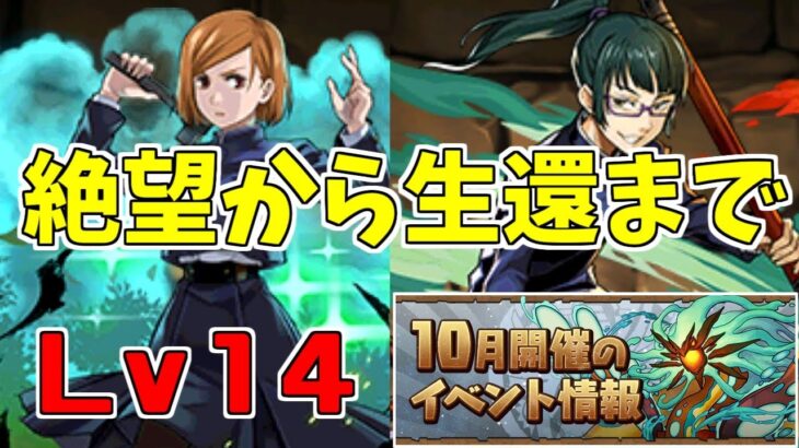 【10月クエスト2024】Lv14-新規アカは気合あるのみ！【パズドラ実況】